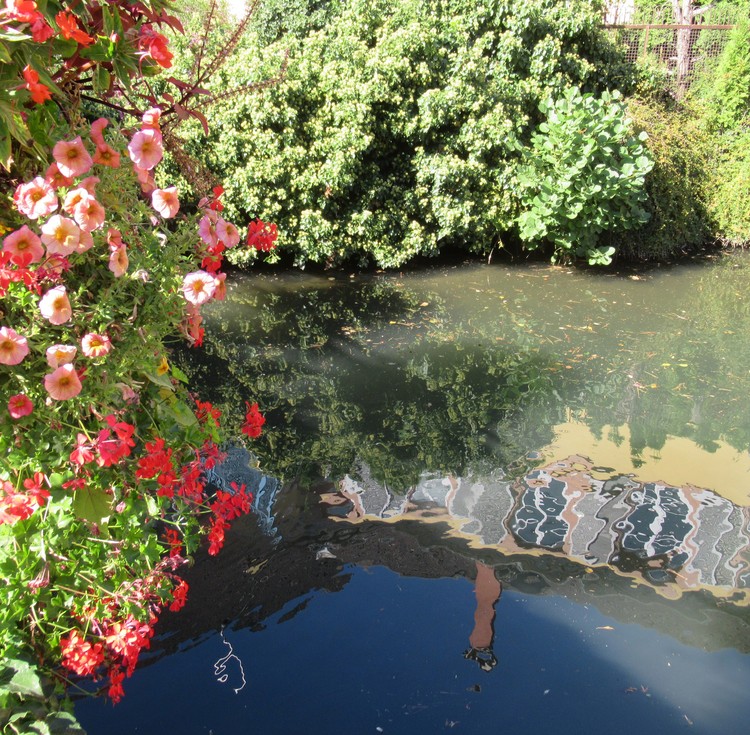 THE LAUCH RIVER IN COLMAR