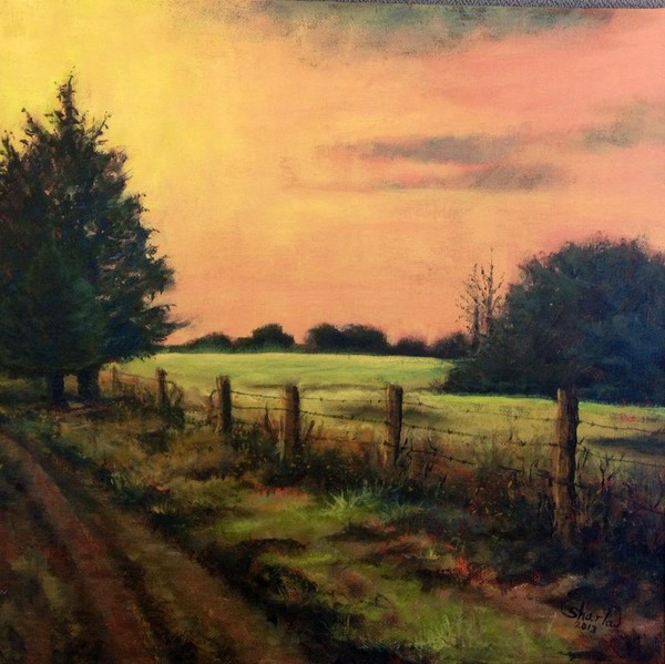 Meadow Memories