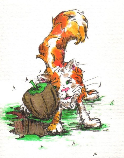 Kitten and the acorn