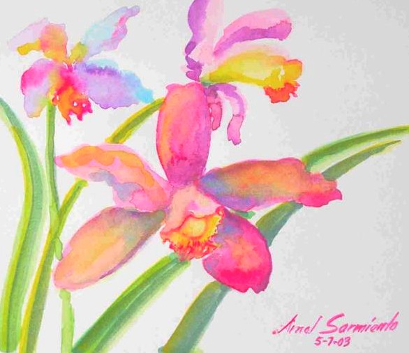 Orchids