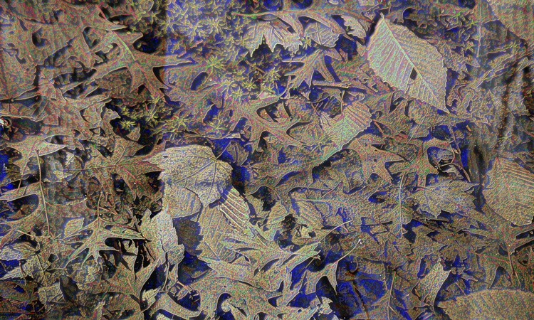 Electrified leaf