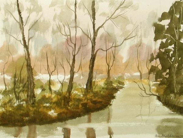 forest river landscape 639 