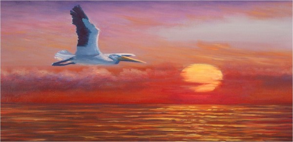 Sunset Flight