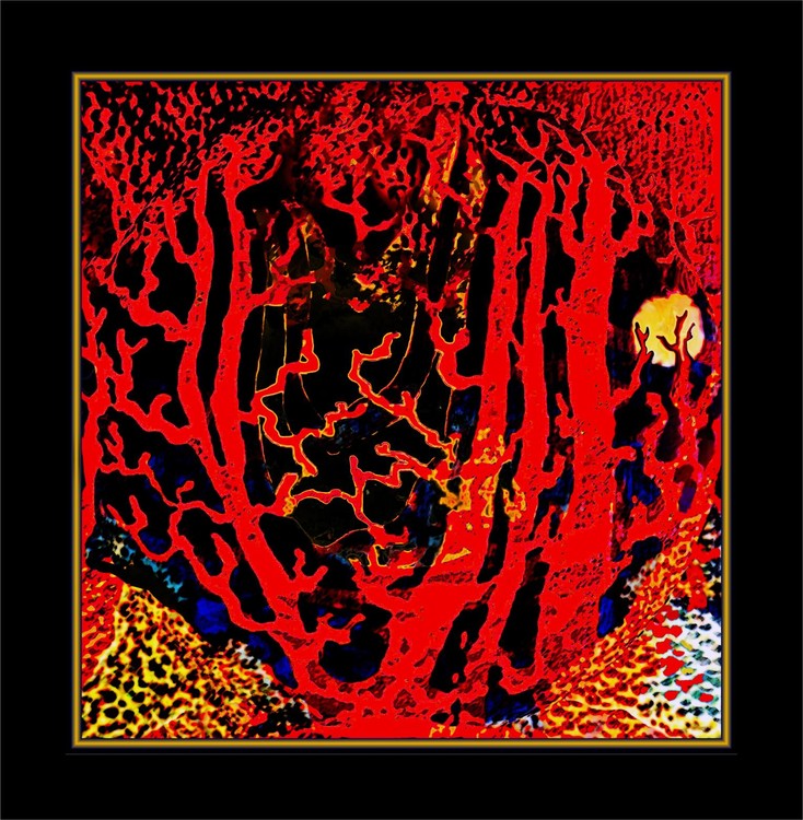 Tiger Hunt