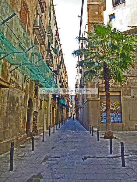 La Palmera de Raval