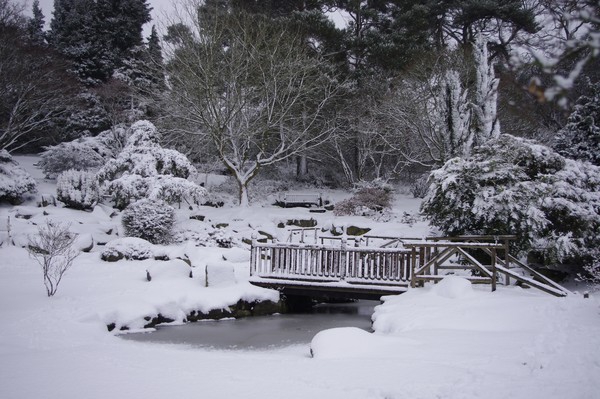 Winters Day 1
