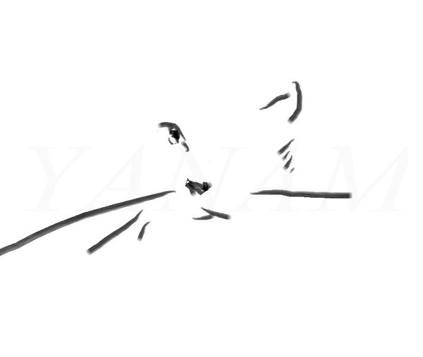 cat1