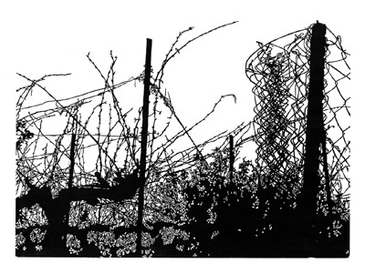 greetings golan heights 400dpi