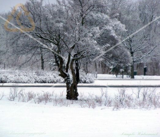 Standing in the Cold