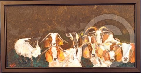 Old Goats