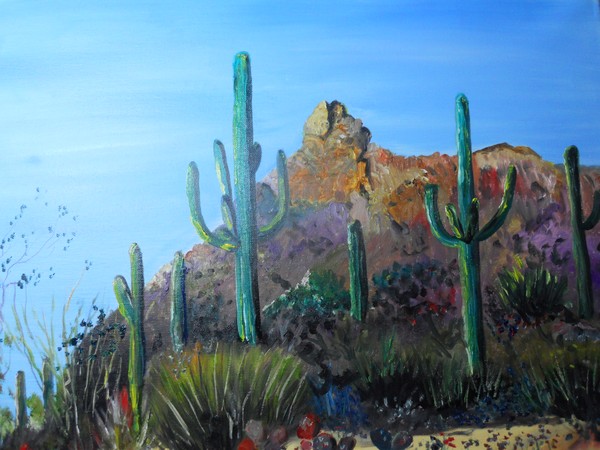 Saguaro Desert