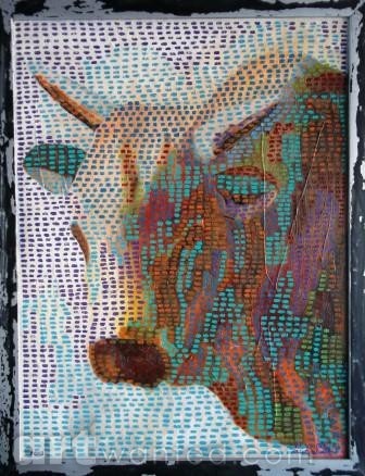 Blue Nguni