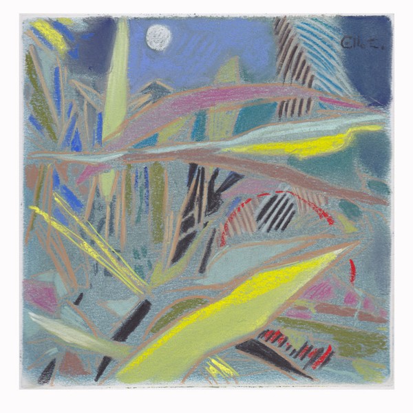 tropical forest under the moonlight T110213