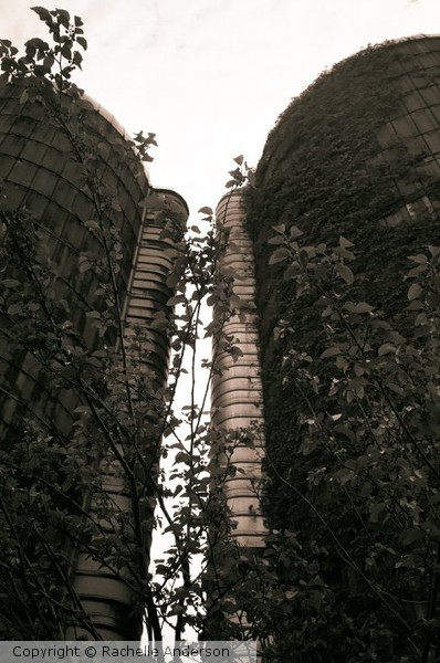 old skyscrapers