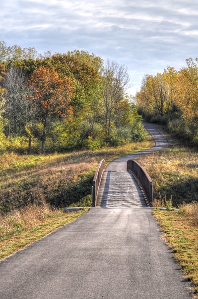 Fall at Raceway Woods