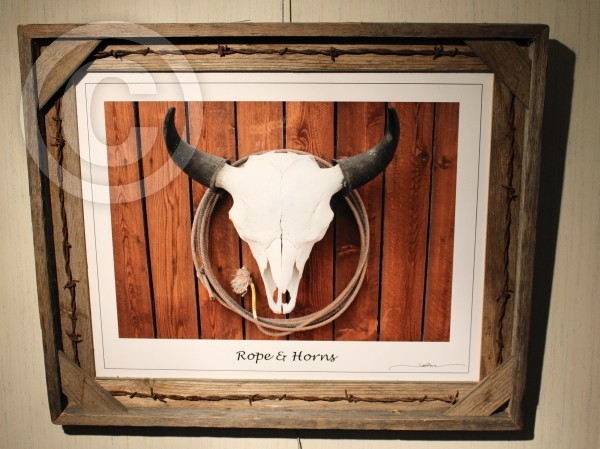 Ropin' Horns