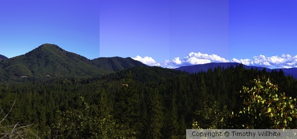 Landscape 2