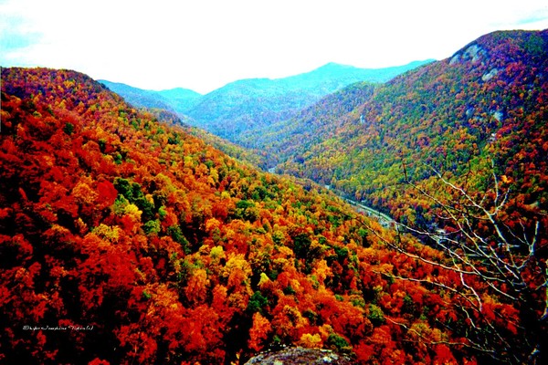 Through The Mountains