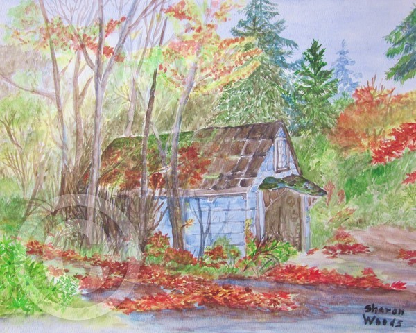 Fall Leaves