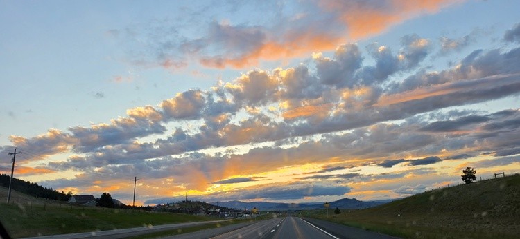 Photography by Patti