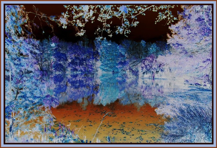 Inverted Pond