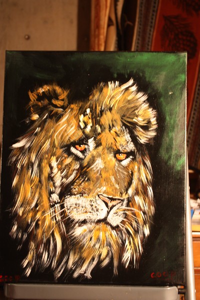 Lion, African Male