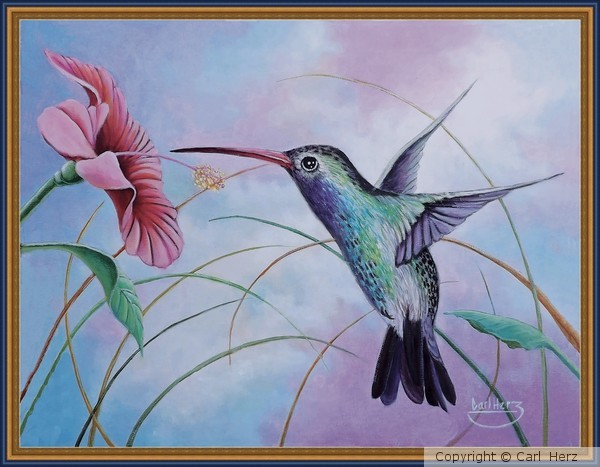 HUMMINGBIRD