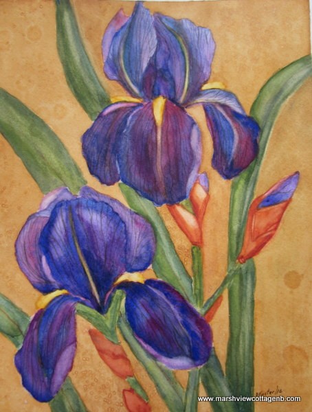 spring Iris