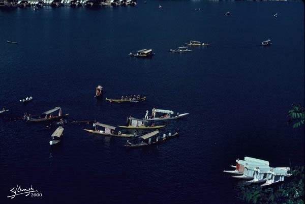Dal Lake- Srinagar