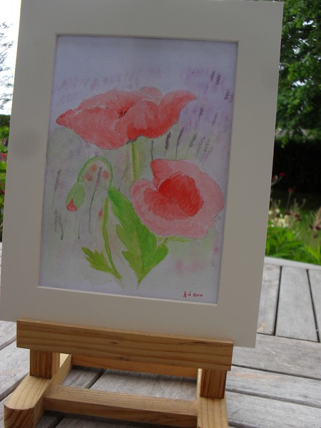Poppies