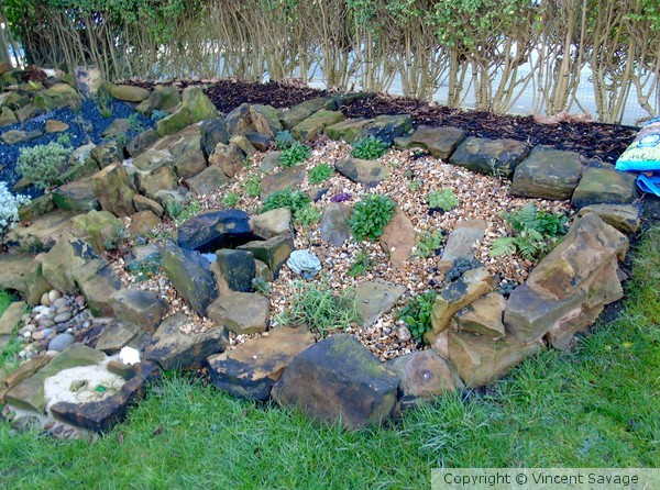 Alpine rockery
