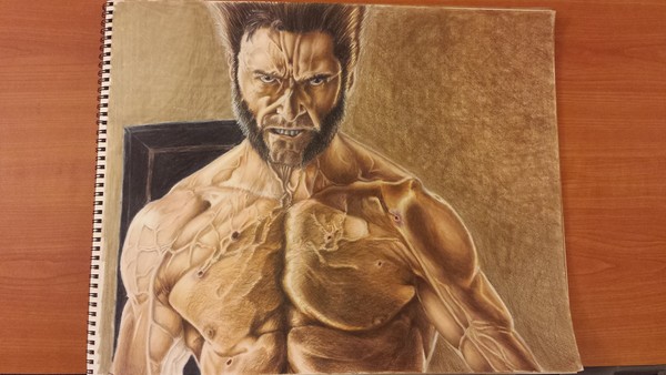 Wolverine colored pencils