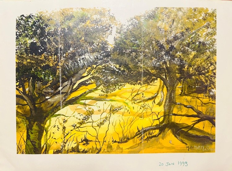 Orchard