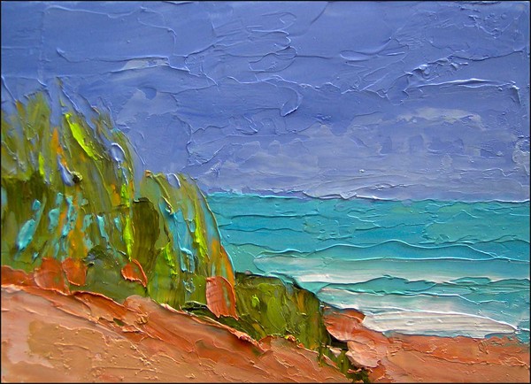 Florida Beach Dunes
