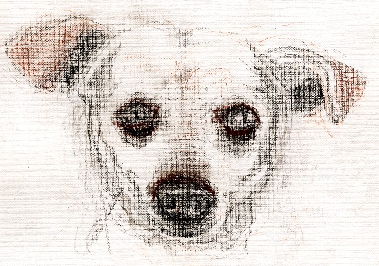 Winky Portrait Drawing