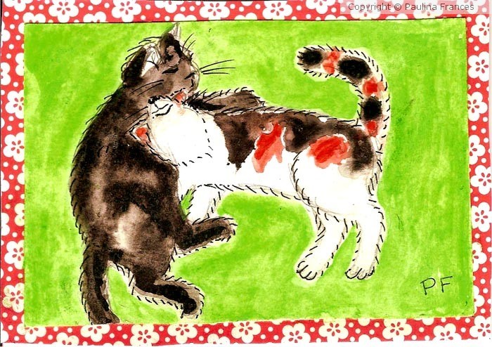 Black and Calico Cats Frolicking