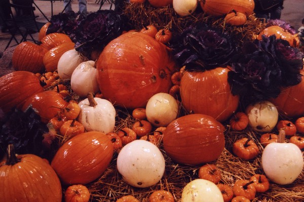 Fall