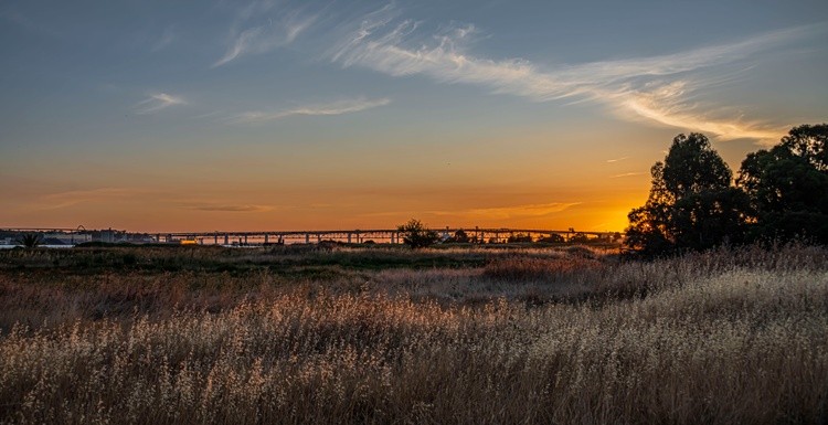 Dawn along the Shoreline trail - June 26  2025