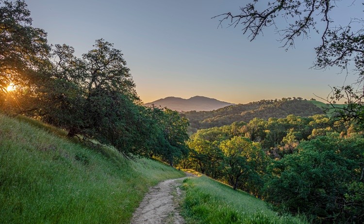 Spring Morning on Mt. Wanda - March 24  2026