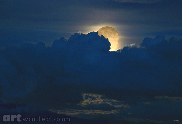 Moon shine