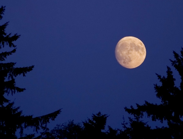 Yellow Moon