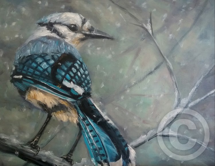 Winter Jay