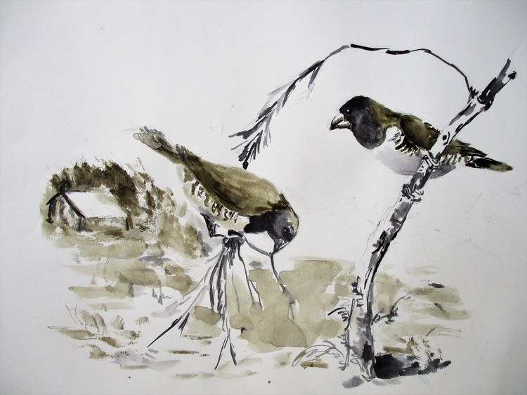 Bronze Mannikin