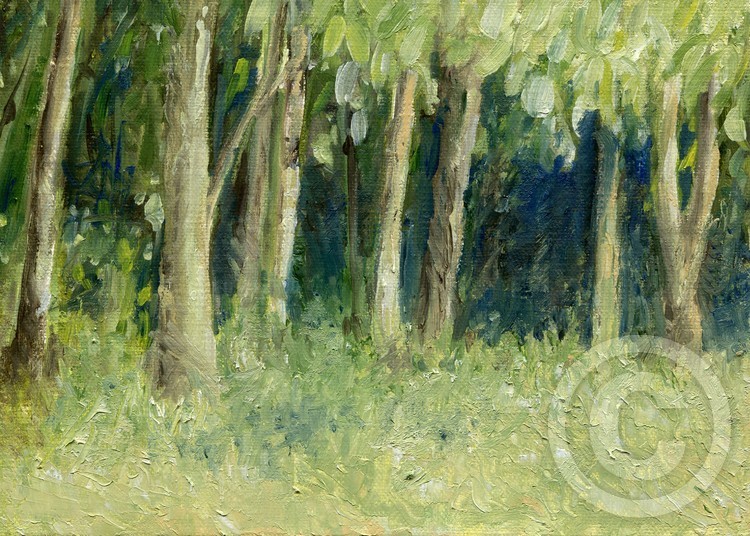 Trees Edge
