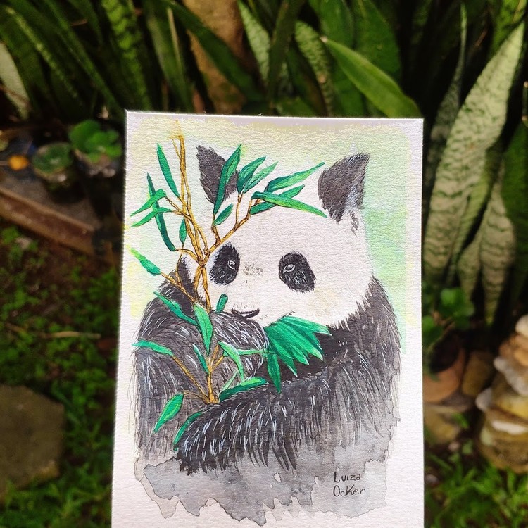 Panda