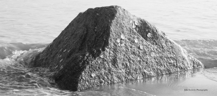 Rock