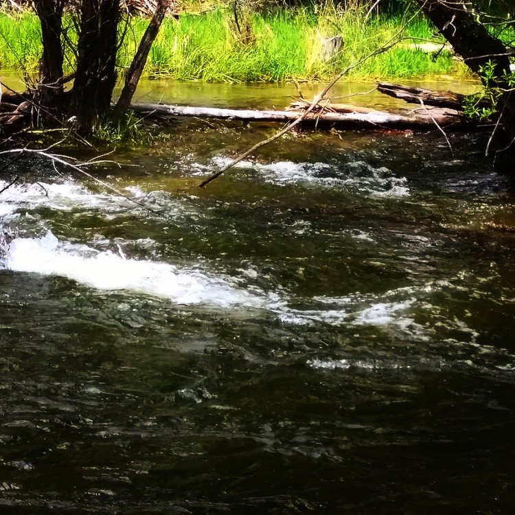 Creek 