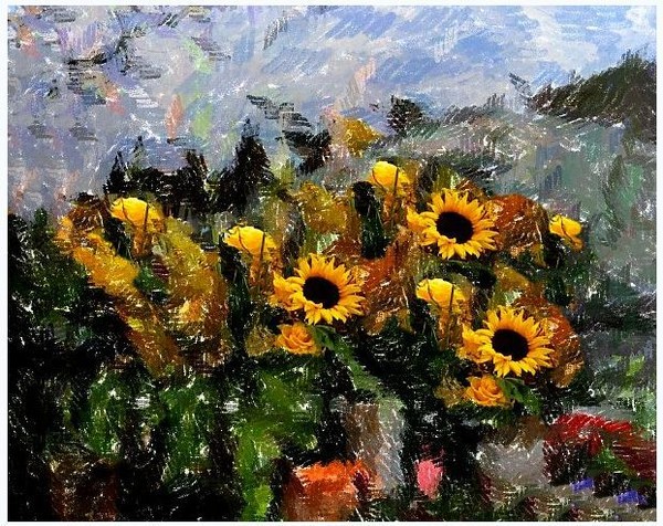 Sunflower seranade
