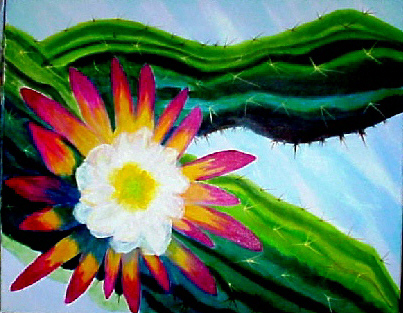 Bloom