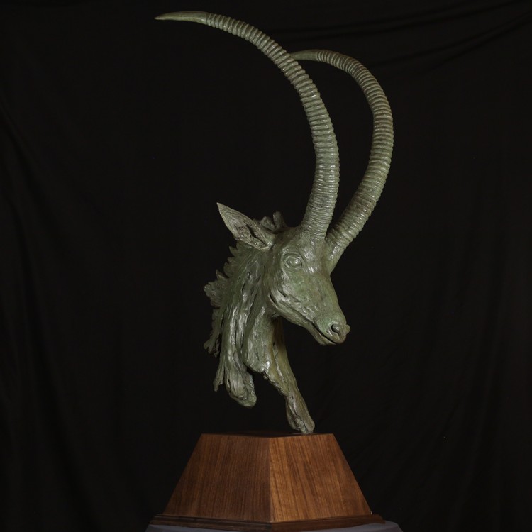 SABLE ANTELOPE BUST